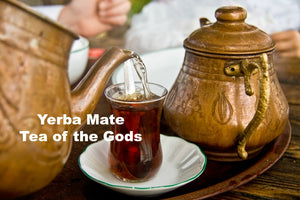 What is Yerba Mate aka "Tea of the gods" ?